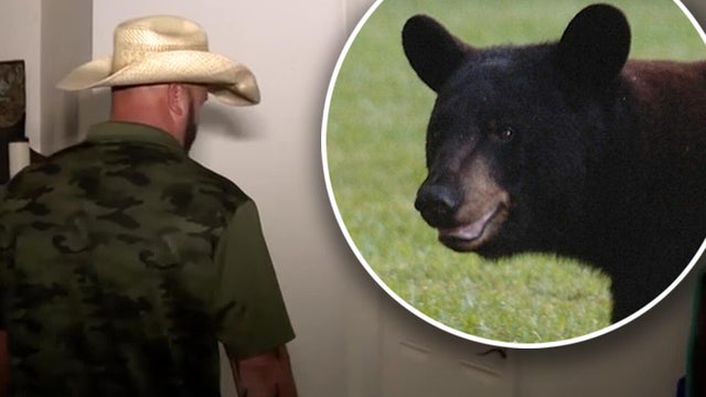 cbsmiami-bear-home-florida-shooting-1.jpg 