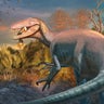Newly discovered dinosaur had a crocodile leg in its jaws 