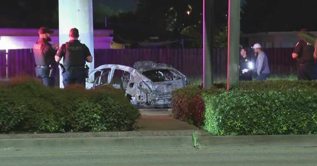 Man dies after crashing car into light pole in Hollywood, officials say