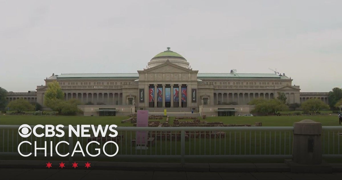 Chicago Museum of Science and Industry workers authorize strike - CBS ...