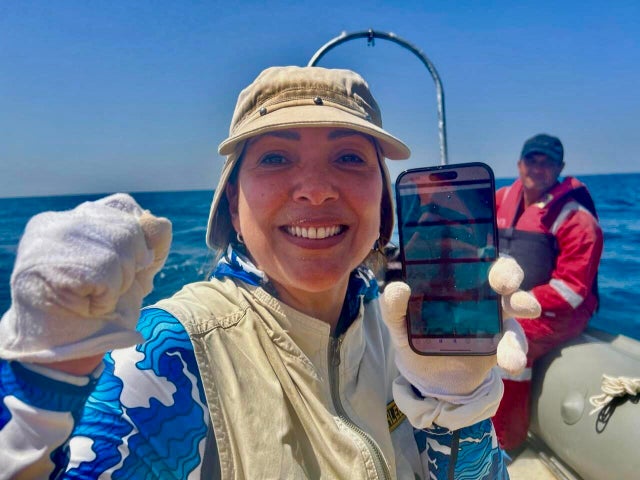 discovery-of-the-first-anchor-from-to-cbsdr-martine.jpg 