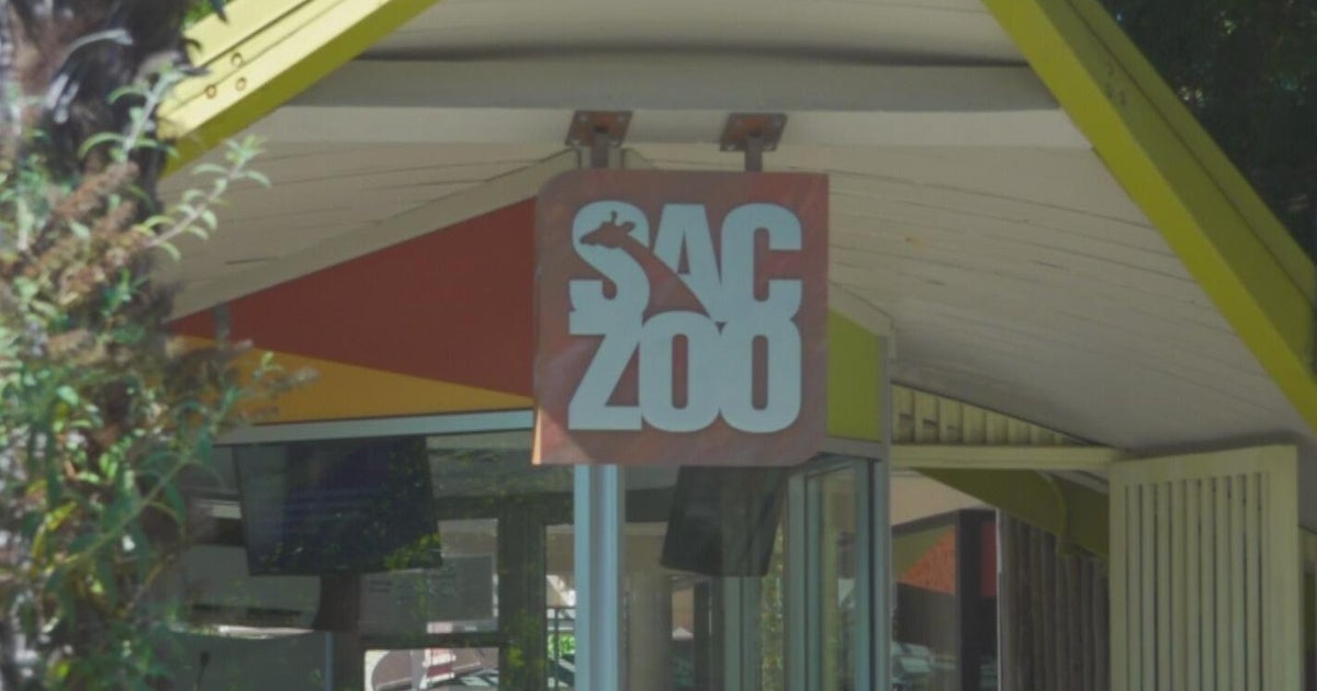 Sac Zoo looking to expand at existing site in Land Park