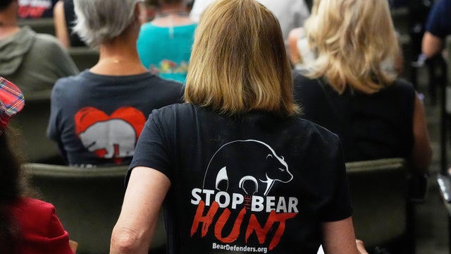 Bear Hunt Florida 