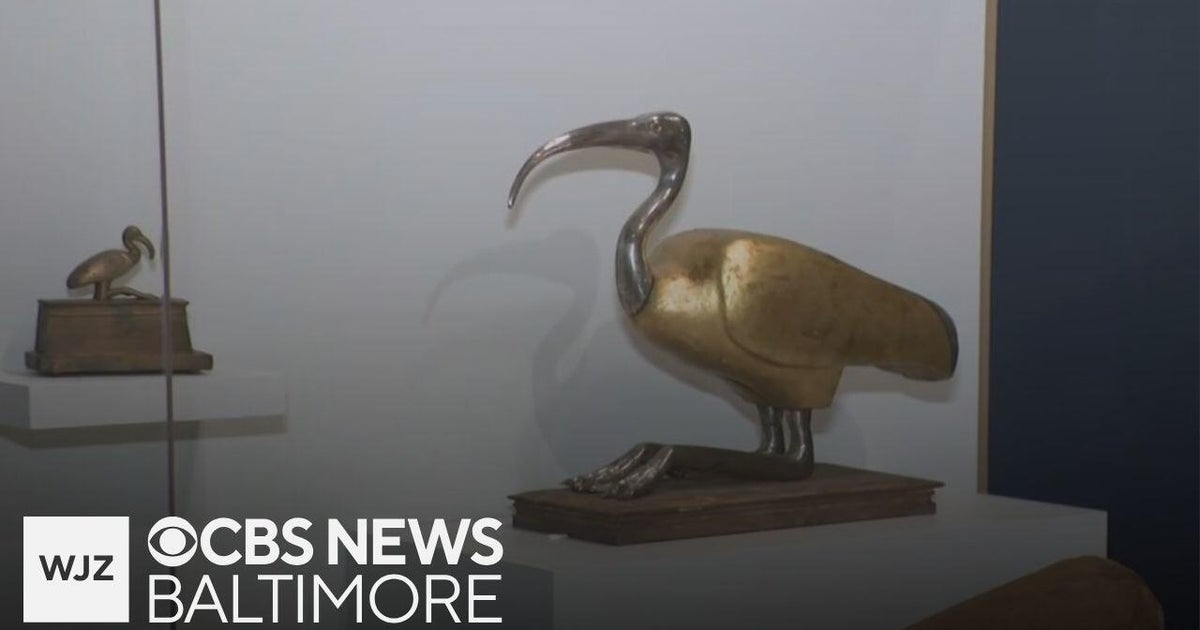 Where’s Marty: Visiting the Walters Art Museum in Baltimore - CBS Baltimore