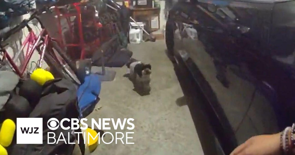 Howard County officers rescue pet dog from house fire - CBS Baltimore