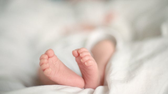 Feet of a Newborn Baby Girl 