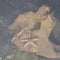 Sub discovers unexploded Nazi bombs teeming with marine life
