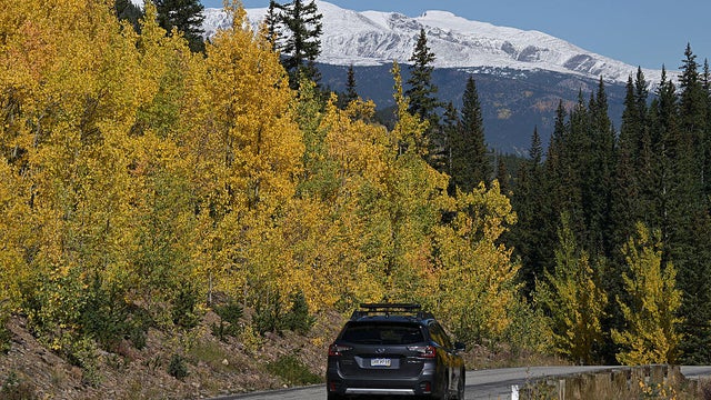 leaf-peeping.jpg 