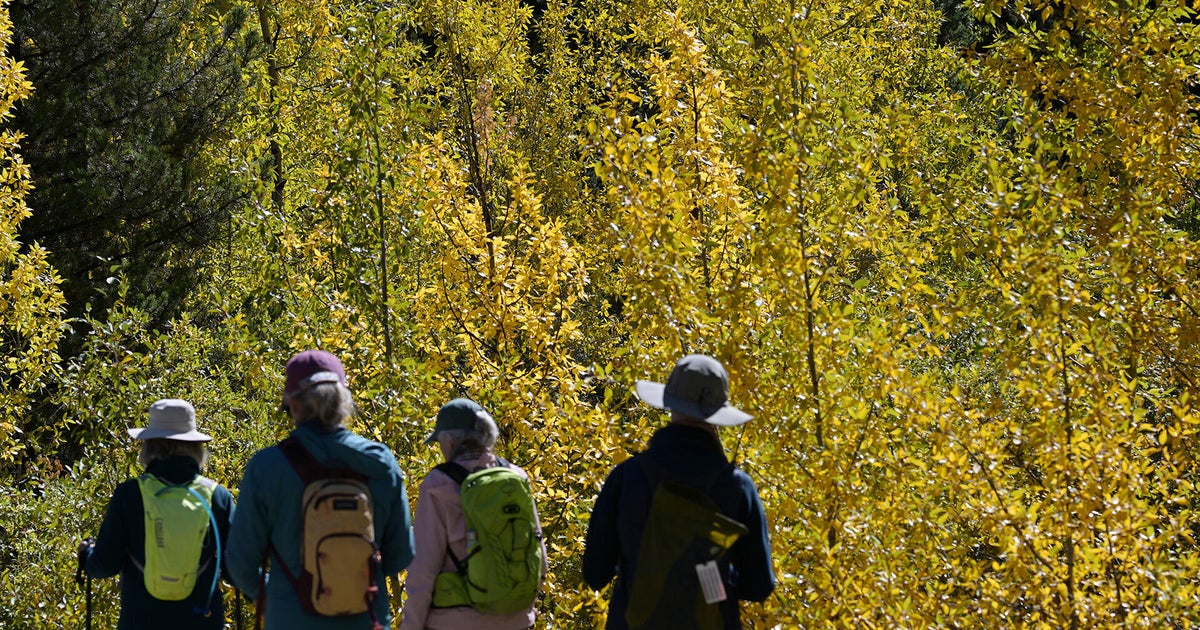 cbsnews.com - Derek  James - Drought could take the brilliance out of Minnesota's fall colors, DNR says