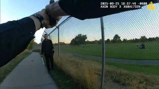 Generic police lights 