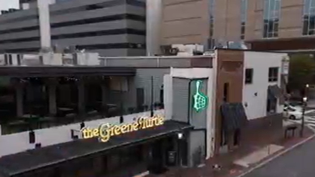 greene-turtle.png 