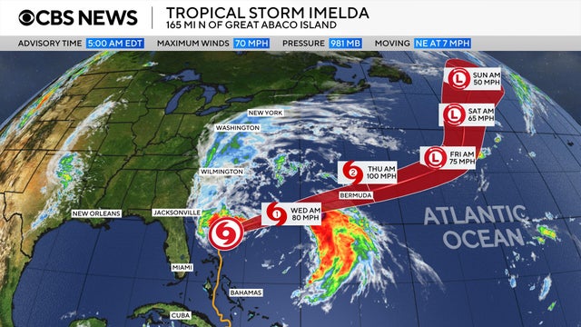 imedla-cone-092925-5a.png 