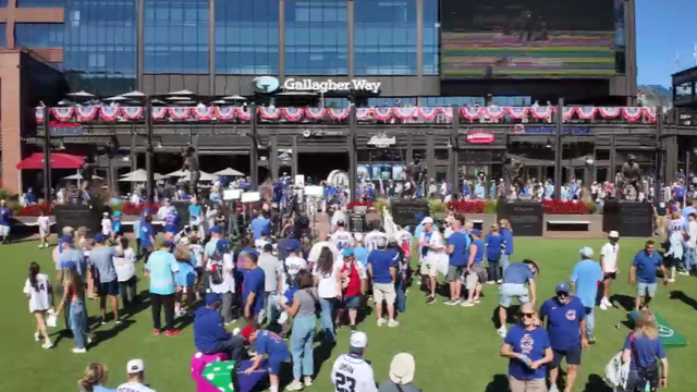 cubs-fans-at-game-1.png 