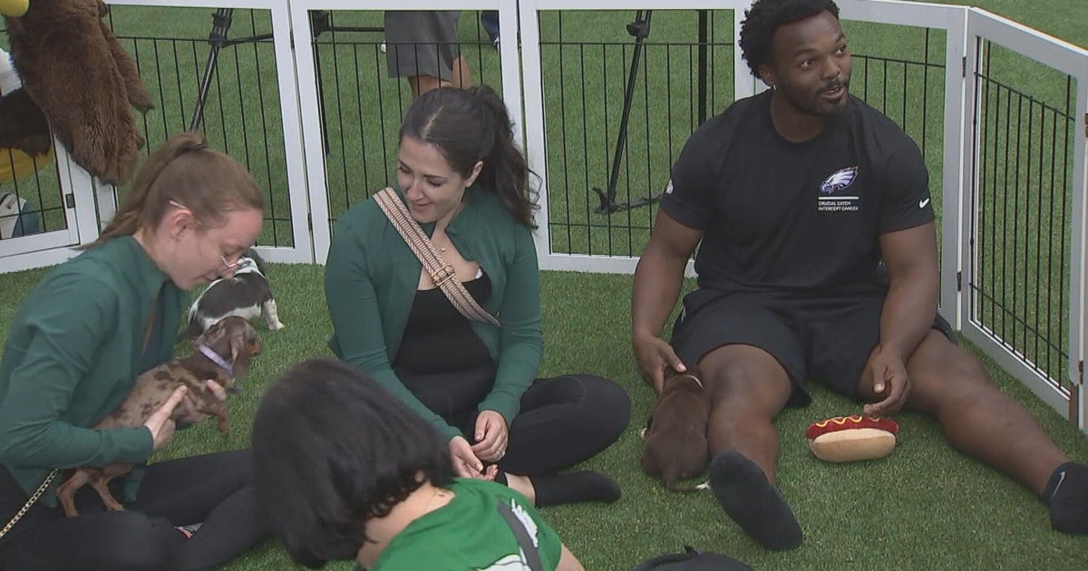 Philadelphia Eagles host puppy yoga event to spotlight cancer awareness -  CBS Philadelphia