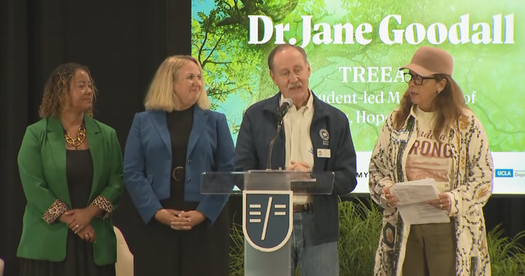 Student-led initiative helping plant trees in response to Los Angeles ...