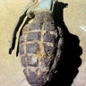 3-year-old finds live WWII grenade in front yard of home in Washington state 