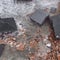 Coastal homes collapse into the ocean off North Carolina