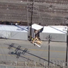 Freight train derails in city of Industry, spilling packages onto tracks 