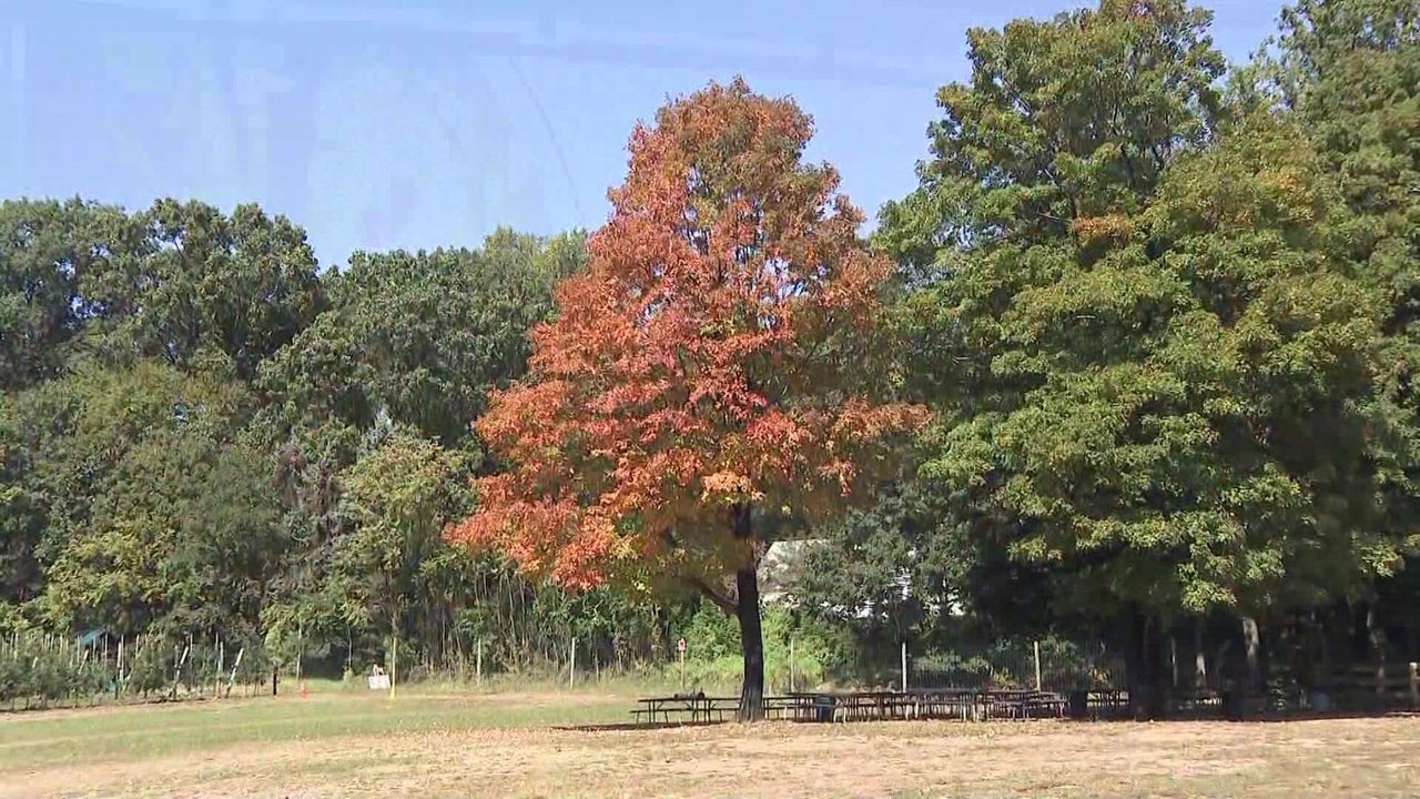 Vanessa Murdock - CBS News New York