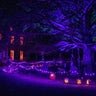 Weekend To Do List: Getting in the fall spirit with Halloween-themed events 