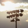 Pennsylvania high school football scores for October 3, 2025 