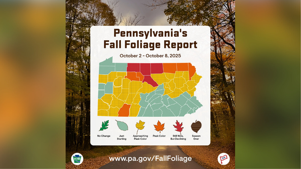 kdka-fall-foliage-report-week-2.png 