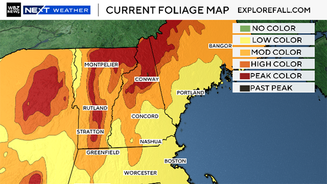 Foliage map 