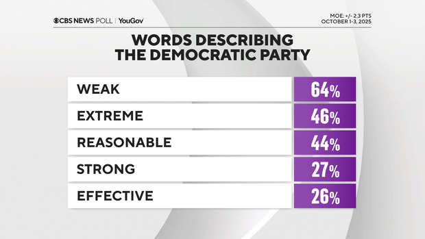 describe-democratic-party.png 