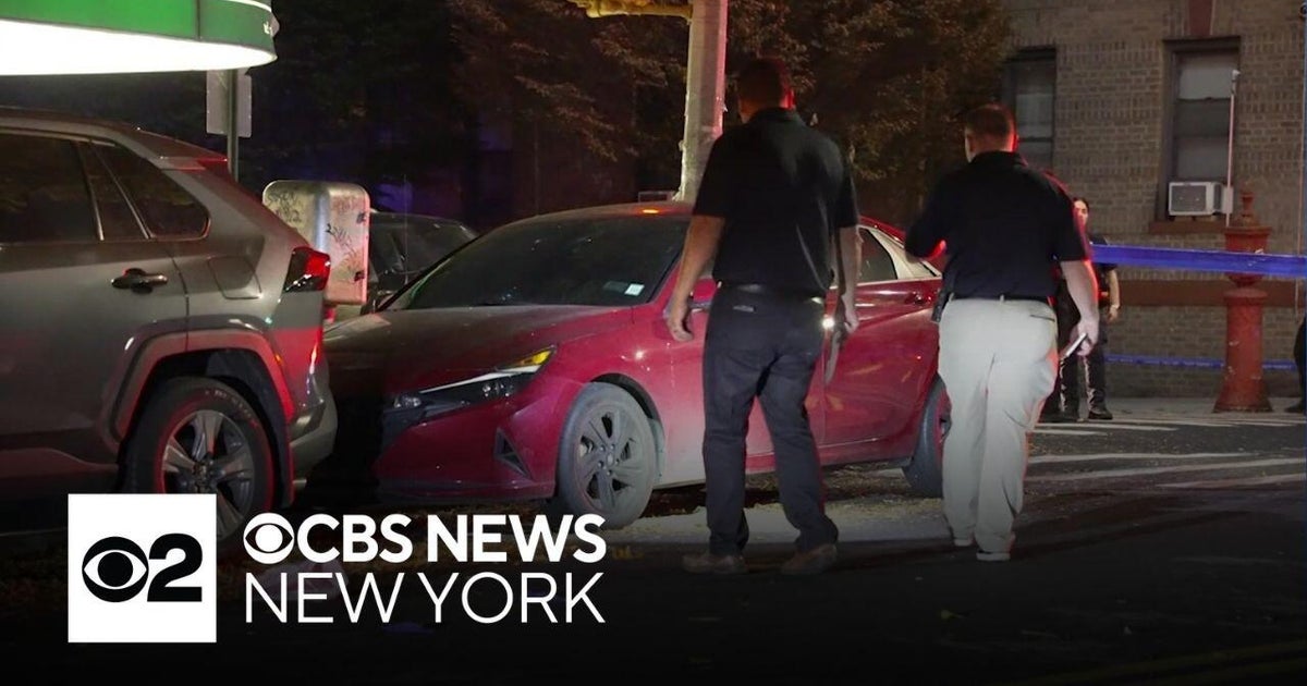Hit-and-Runs Kill Women in Clifton, Brooklyn