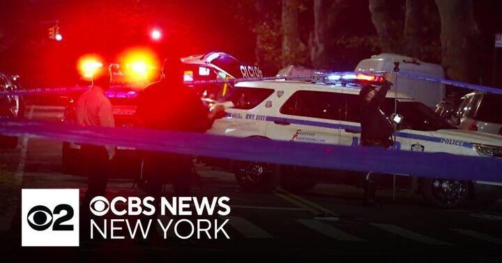 Police hunting for driver who hit and killed a 75-year-old woman in ...