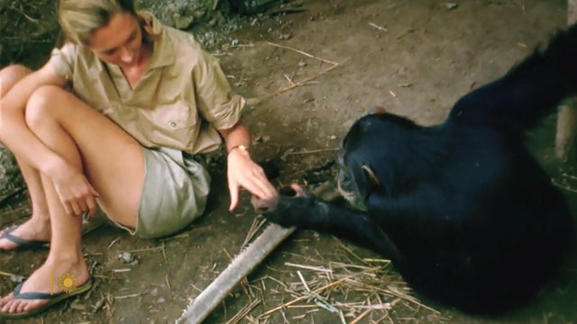 passage-jane-goodall-1920.jpg 