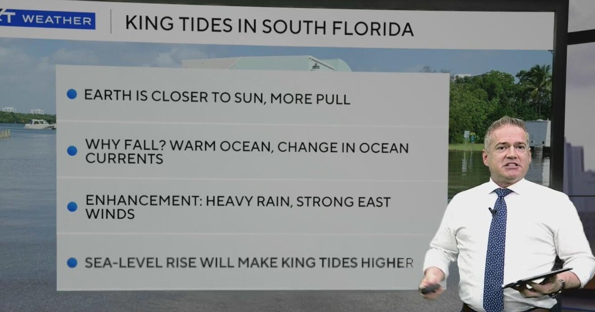 King tides in South Florida: What you need to know - CBS Miami