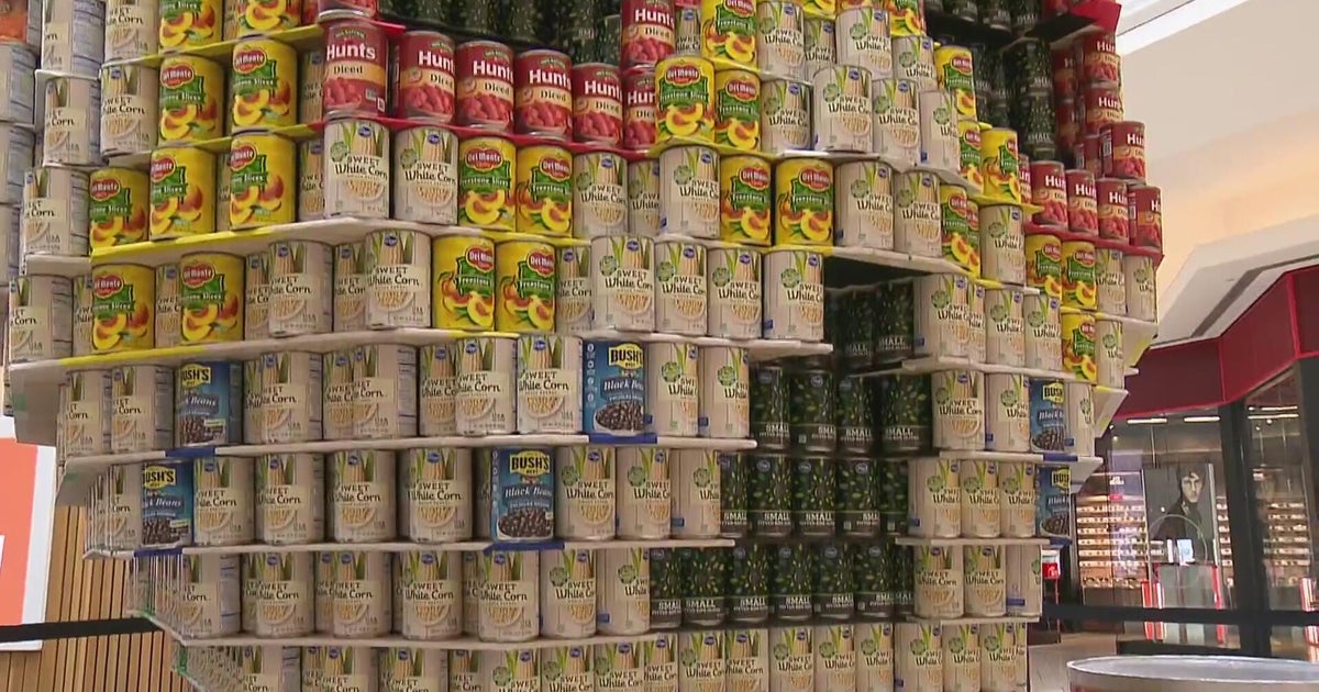 Competition underway to build life-sized structures out of canned food ...