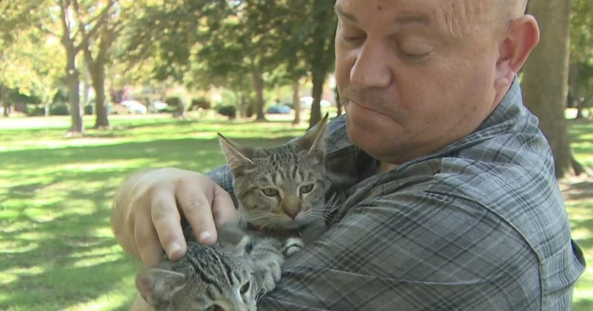 Sacramento man who adopted 2 kittens says he was overcharged $750 by shelter
