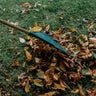 Denver residents can drop leaves in compost cart or at LeafDrop locations 