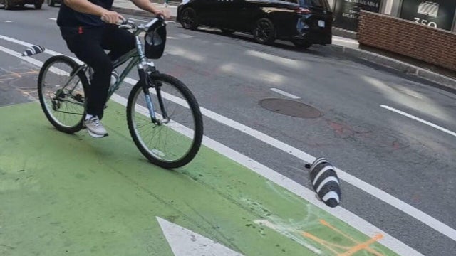 lh-bike-lanes-pkg-frame-877.jpg 