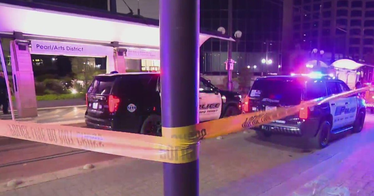 Suspects in Custody After Deadly Shootings in Downtown Los Angeles Dallas