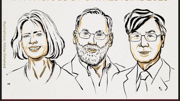nobel-prize-medicine-2025.jpg 