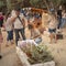 Israel-Hamas negotiations spurred by Trump ceasefire plan to start