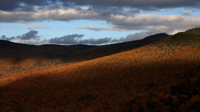 View From Artist's Bluff 