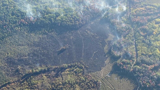 Wildfire near Houghton Lake, Roscommon County 