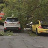 Massive tree falls on two cars in Somerville, driver taken to hospital 