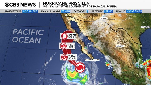 priscilla-1.jpg 