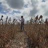 Georgia's soybean farmers hopeful for aid package during China's boycott 