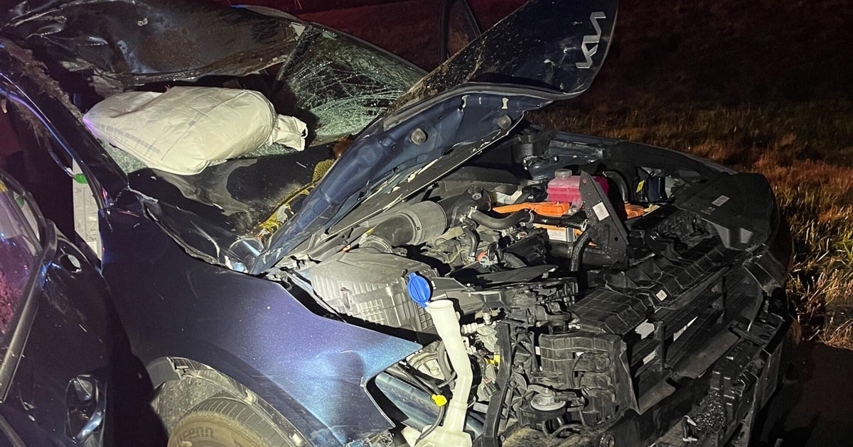 Moose hit by two cars in New Hampshire, seriously injuring passenger