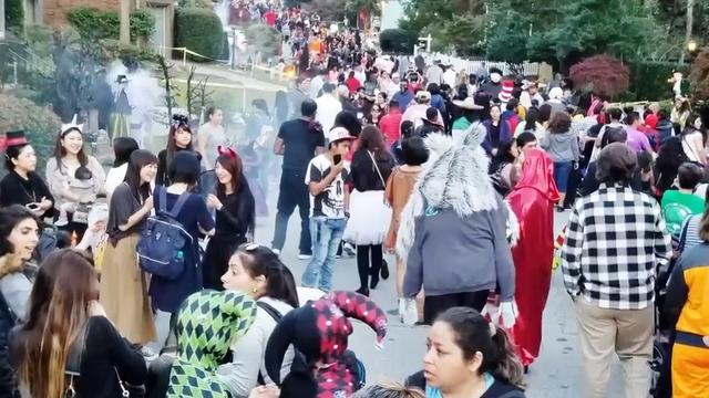 halloween-crowds.png 