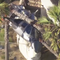 5 hospitalized after helicopter crashes in busy oceanfront area of Huntington Beach