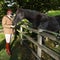 Spooked British army horse who ran through London streets is retired