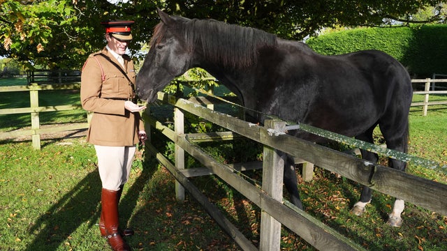 Britain Horses Spooked 