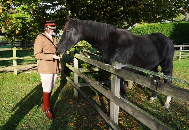 Britain Horses Spooked 